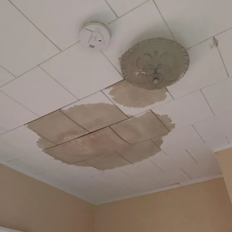 Ceiling Water Damage Repair in Girardville, PA