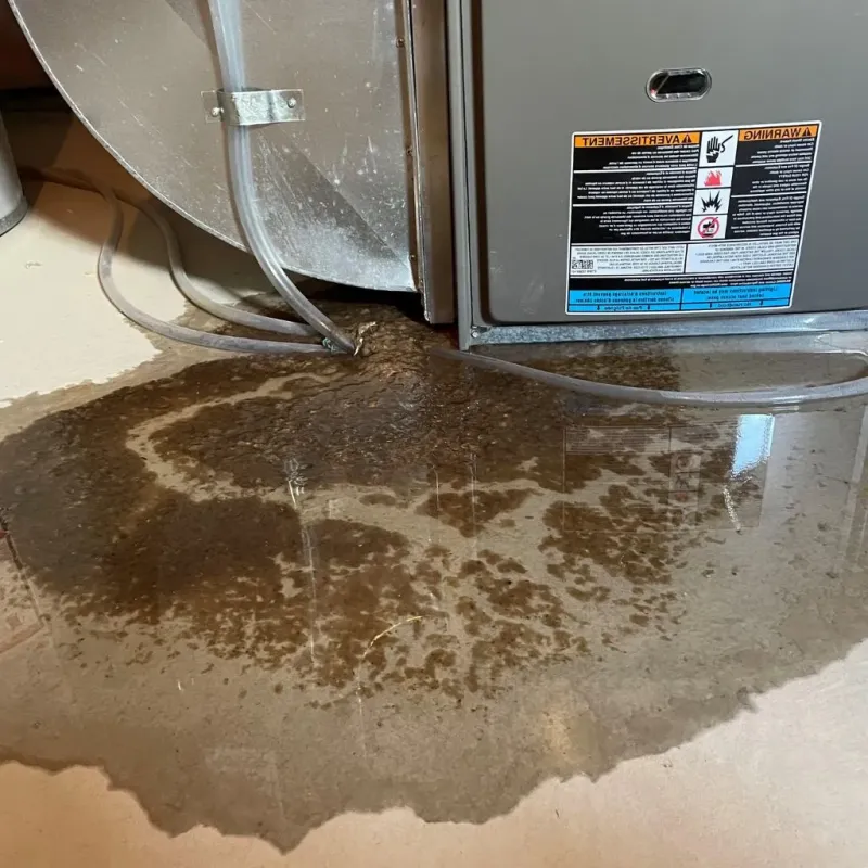 Pipe Burst and Leak Restoration in Girardville, PA