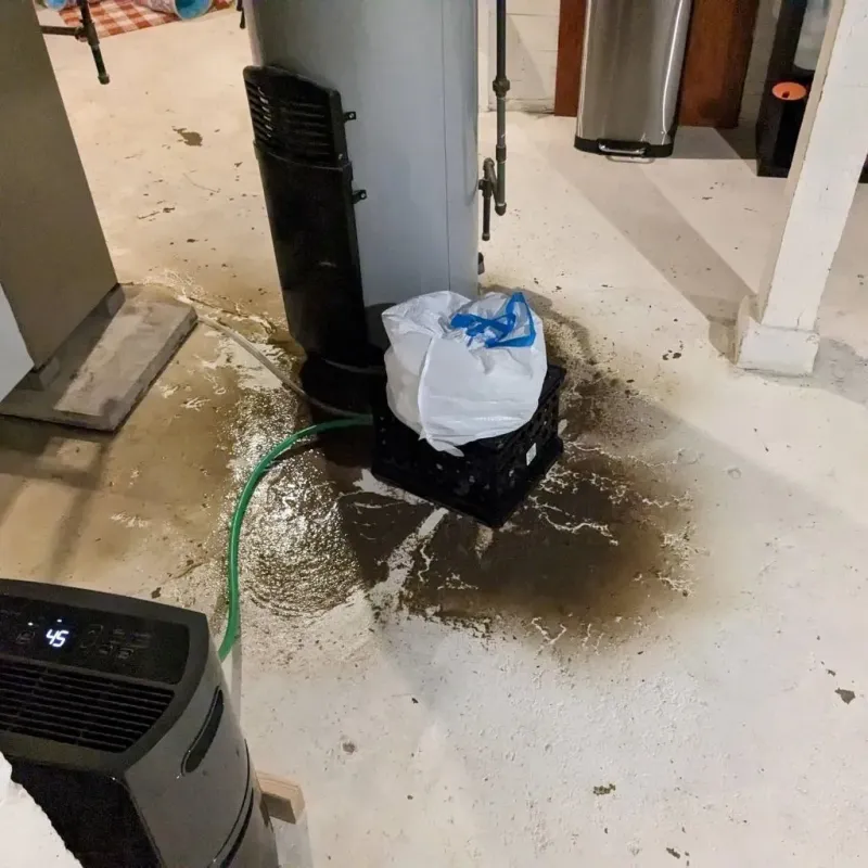 Sewage Backup Cleanup Service in Girardville, PA